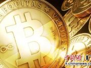 比特幣交易平臺(tái)Mt.Gox總裁卡普勒斯在東京被捕