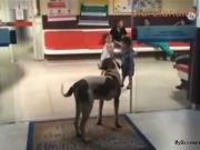 杠桿無處不在，A股又臨一坑：分級基金下折