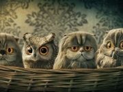 資本寒冬背后的深層邏輯：是誰在喊狼來了？