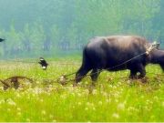 工商總局局長張茅到訪阿里預祝“雙十一”成功