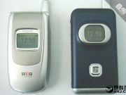 DNA配對+虛擬現實：25年后人們如何在線約會？