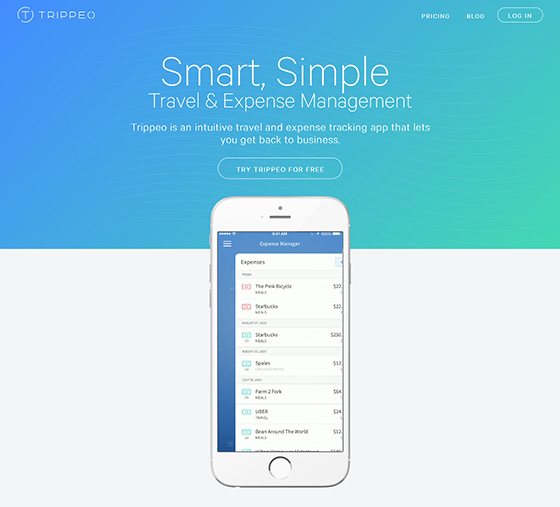 網(wǎng)頁設(shè)計 網(wǎng)頁字體設(shè)計 網(wǎng)站字體選擇 網(wǎng)站策劃