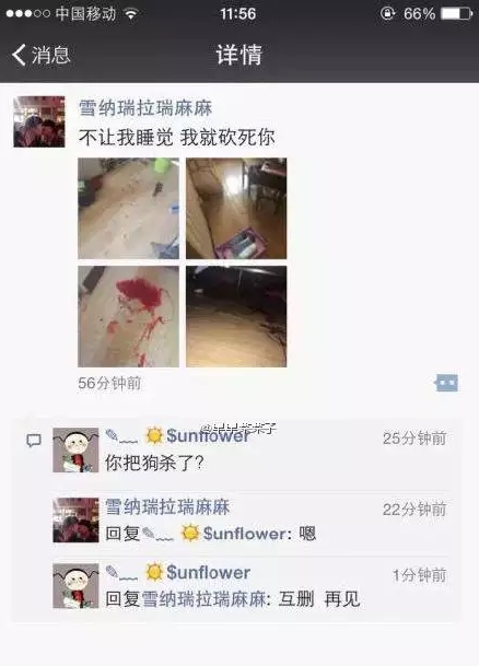 長(zhǎng)春女子虐狗事件刷爆朋友圈：愛(ài)狗人士憤怒討伐