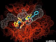 A股青睞高科技：爆炒石墨烯、量子通信