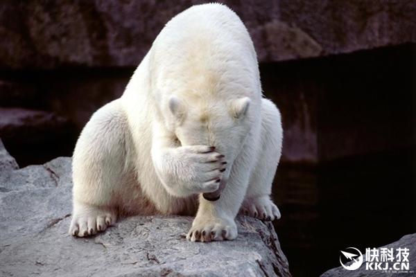 Windows10系統(tǒng) 補(bǔ)丁 Office