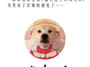 臺(tái)灣“超神意見(jiàn)表”走紅 只因?yàn)樯喜吞?></a>
		<h3><a href=