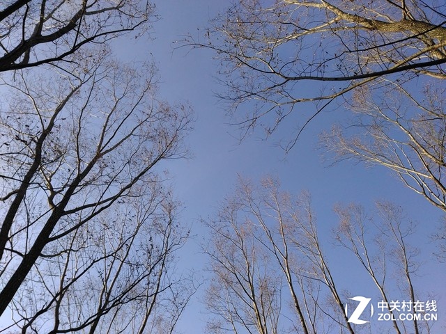 樣張秀：帶著TCL樂(lè)玩2C感受北京深冬