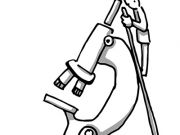 獨(dú)特價(jià)值與模式:維基憑何非要依靠廣告生存?