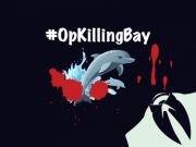 抗議捕殺海豚 黑客怒破日本機場