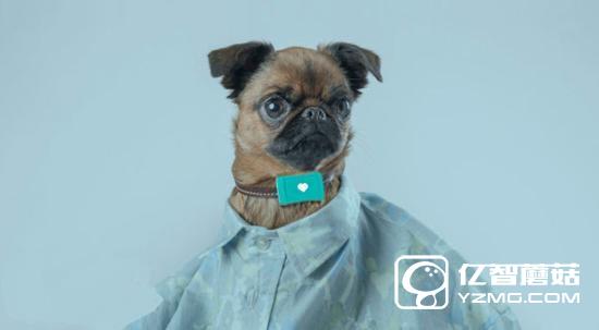 家中汪星人沒人管?Tracy Tracker智能管家幫你忙