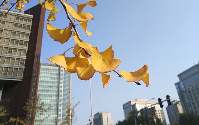 小米MIX值得買嗎 小米MIX概念機(jī)評(píng)測(cè)