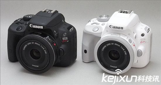 實(shí)用單反推薦:入門者的最佳首選