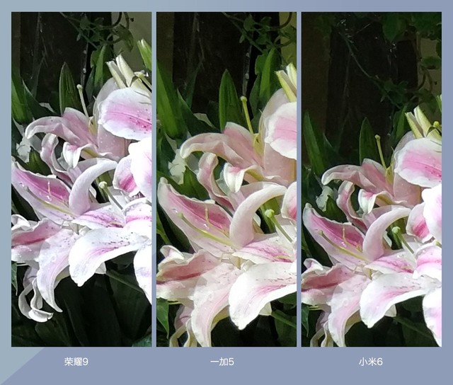 拍照誰更強(qiáng)？一加5 、小米6、榮耀9拍照樣張對比