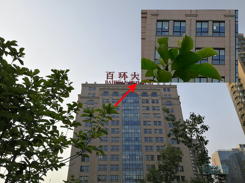 一加5和榮耀9對比評測：實(shí)用性再戰(zhàn)顏值 相差300元怎么選？
