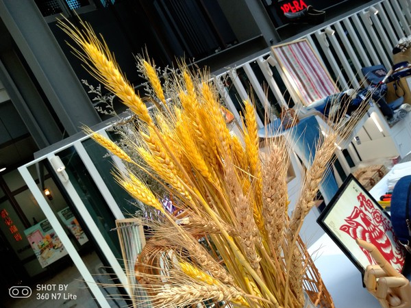 360手機N7 Lite拍照樣張